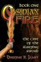 [Obsidian Fire 02] • OBSIDIAN FIRE · the Cave of the Sleeping Sword